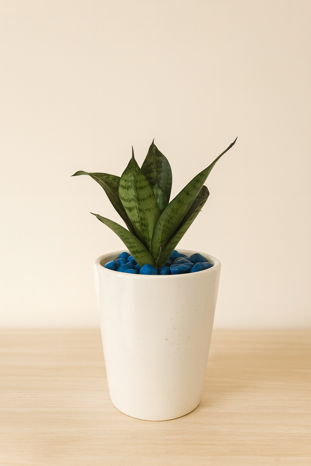 Snake Plant Mini Ceramic