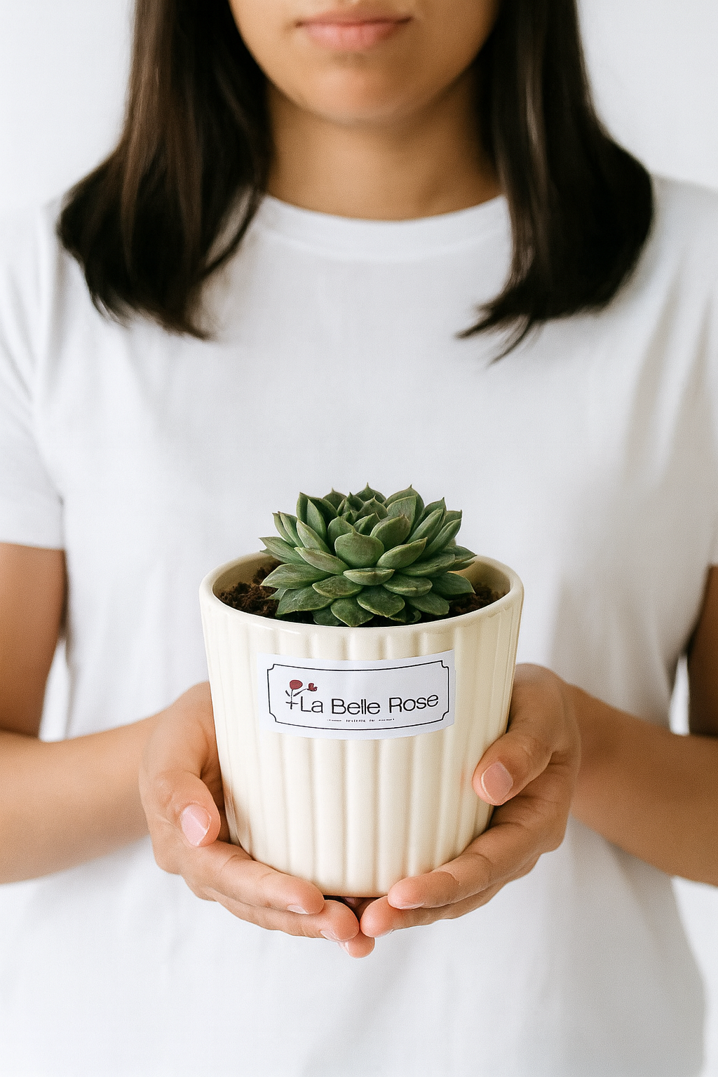 Luxe Succulent Pot